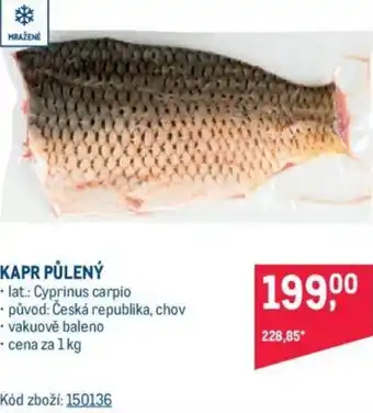 Makro KAPR PŮLENÝ nabídka