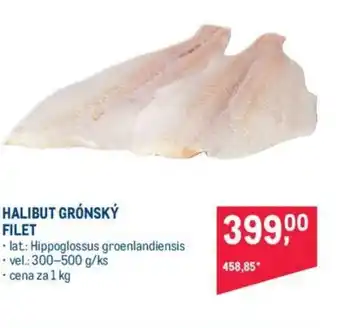 Makro HALIBUT GRÓNSKÝ FILET nabídka