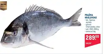 Makro PRAŽMA KRÁLOVSKÁ nabídka