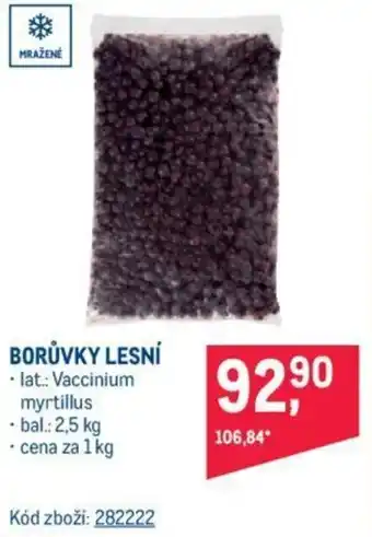 Makro BORŮVKY LESNÍ nabídka