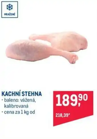Makro KACHNÍ STEHNA nabídka