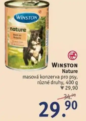 Rossmann WINSTON Nature nabídka