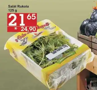 Jip Salát rukola, 125 g nabídka