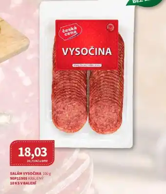 Kubík potraviny SALÁM VYSOČINA 100 g nabídka