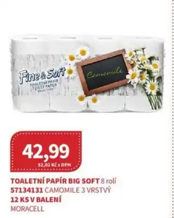 Kubík potraviny TOALETNÍ PAPÍR BIG SOFT 8 rolí nabídka