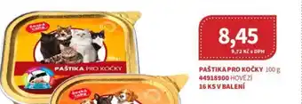 Kubík potraviny PAŠTIKA PRO KOČKY 100 g nabídka