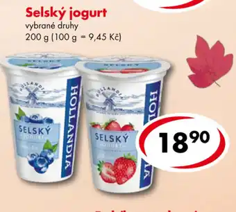 CBA Selský jogurt 200g nabídka