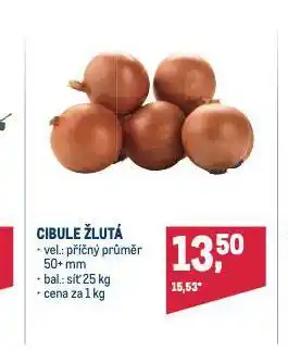 Makro Cibule žlutá nabídka