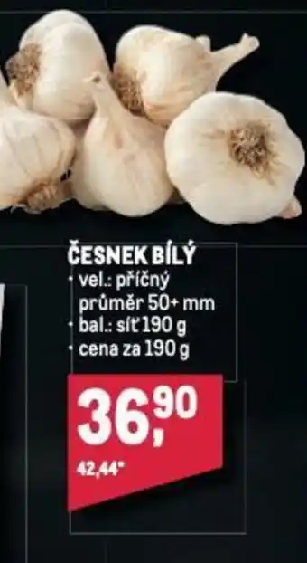 Makro ČESNEK BÍLÝ nabídka
