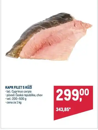 Makro KAPR FILET S KŮŽÍ nabídka