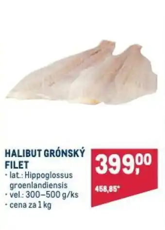 Makro HALIBUT GRÓNSKÝ FILET nabídka
