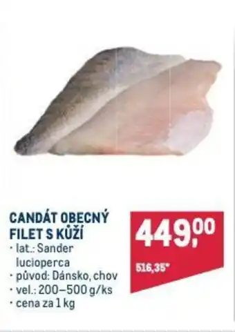 Makro CANDÁT OBECNÝ FILET S KUZI nabídka