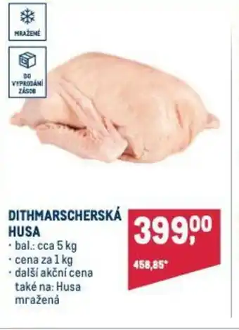 DITHMARSCHERSKÁ HUSA