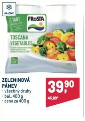 Makro ZELENINOVÁ PÁNEV nabídka