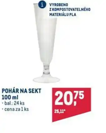 Makro POHÁR NA SEKT 100 ml nabídka