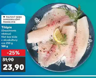Kaufland Tilápie nabídka