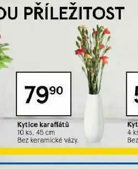 Tesco Kytice afrikátů nabídka