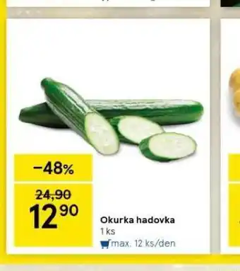 Tesco Okurka hadovka nabídka