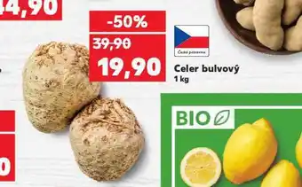 Kaufland Celer bulvový nabídka
