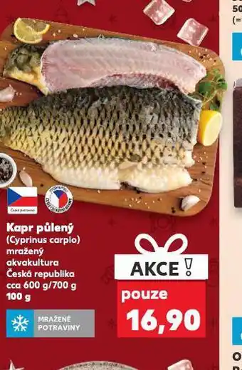 Kaufland Kapr půlený nabídka