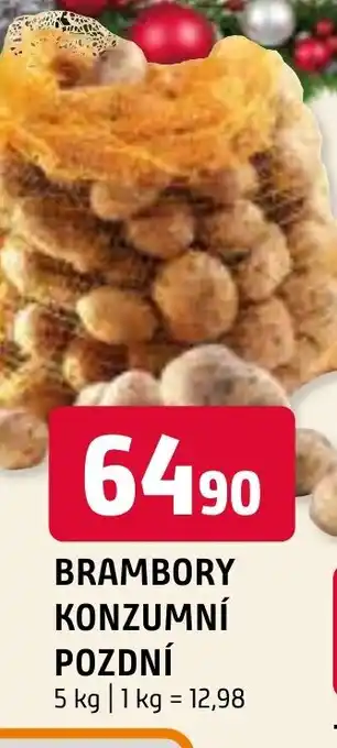 Terno BRAMBORY KONZUMNÍ POZDNÍ nabídka