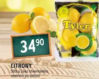 Terno CITRONY nabídka