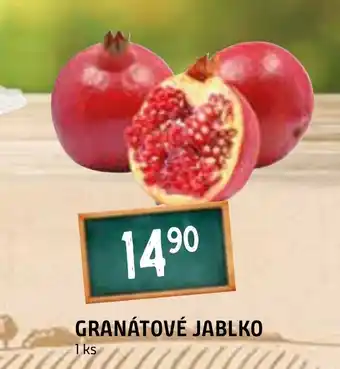 Terno GRANÁTOVÉ JABLKO nabídka