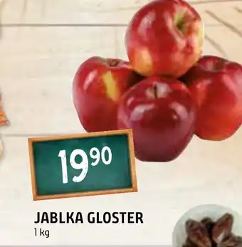 Terno JABLKA GLOSTER nabídka