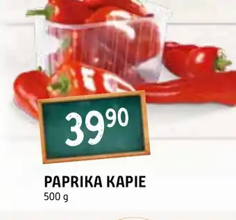 Terno PAPRIKA KAPIE 500 g nabídka