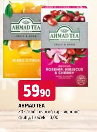 Terno AHMAD TEA nabídka
