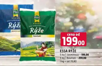 Terno ESSA RÝŽE nabídka