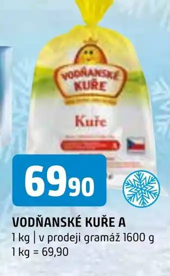 Terno VODŇANSKÉ KUŘE A nabídka