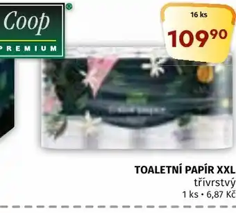Terno TOALETNÍ PAPÍR XXL nabídka