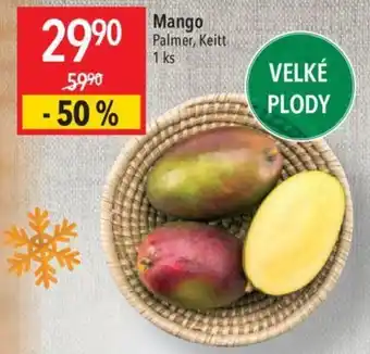 Globus Mango nabídka