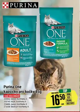 Tamda Foods Purina One kapsičky pro kočky 85g nabídka