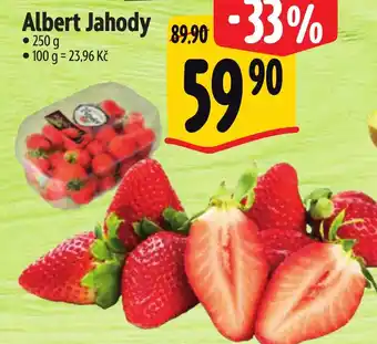 Albert Albert Jahody nabídka