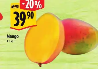Albert Mango nabídka