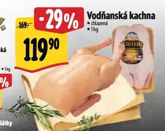 Albert Vodňanská kachna nabídka