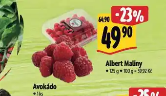 Albert Maliny nabídka