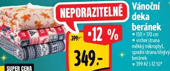 Albert Vánoční deka beránek nabídka