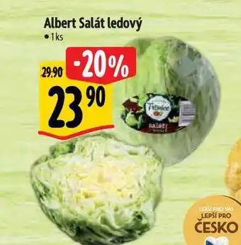Albert Albert salát ledový 1 ks nabídka