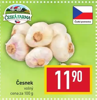Billa Česnek nabídka
