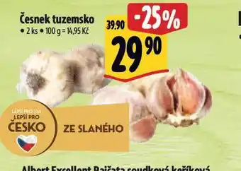 Albert Česnek nabídka