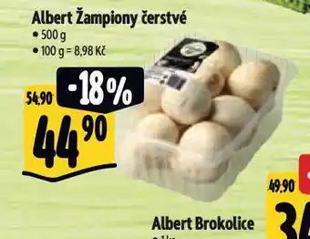 Albert Žampiony nabídka