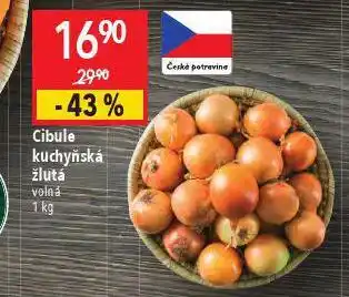 Globus Cibule kuchyňská žlutá nabídka