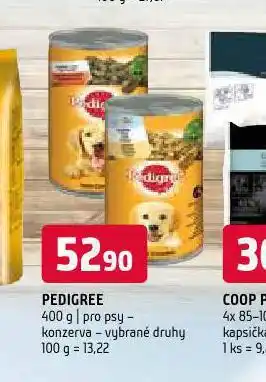 Terno Pedigree konzerva pro psy nabídka