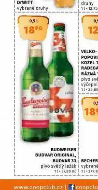 Terno Pivo budweiser budvar original nabídka