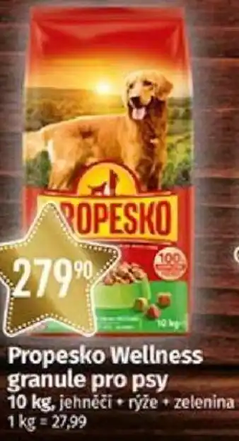 COOP TIP Propesko Wellness granule pro psy 10 kg nabídka