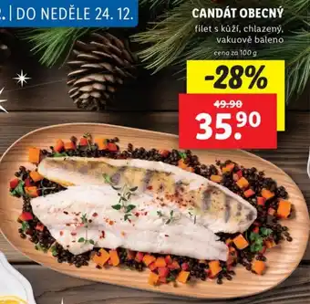 Lidl CANDÁT OBECNÝ nabídka