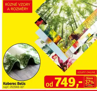 Asko Koberec Belis nabídka